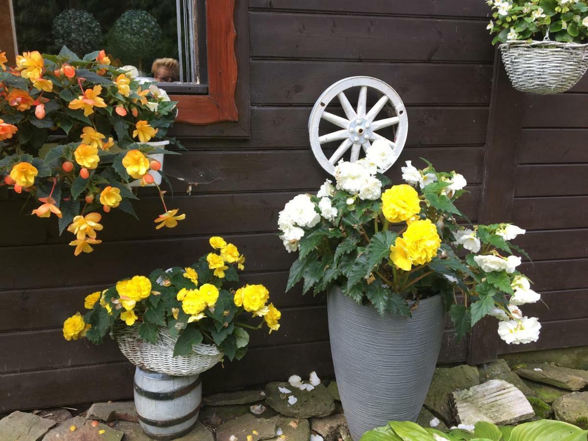 Ranczo Frodyma Bed & Breakfast Stronie Slaskie Exterior photo